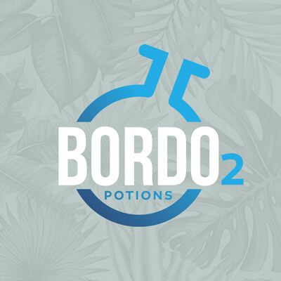 Réalisation fourmizz - Bordo2